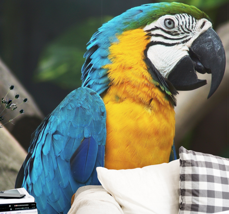 Ara madár portré Állati falfestmények - TenStickers