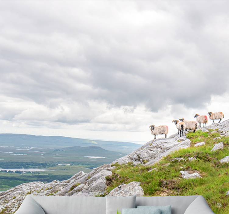 Bárányok a dombokon - más állat falfestmények - TenStickers