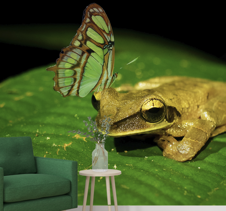 Béka és pillangó Állati falfestmények - TenStickers