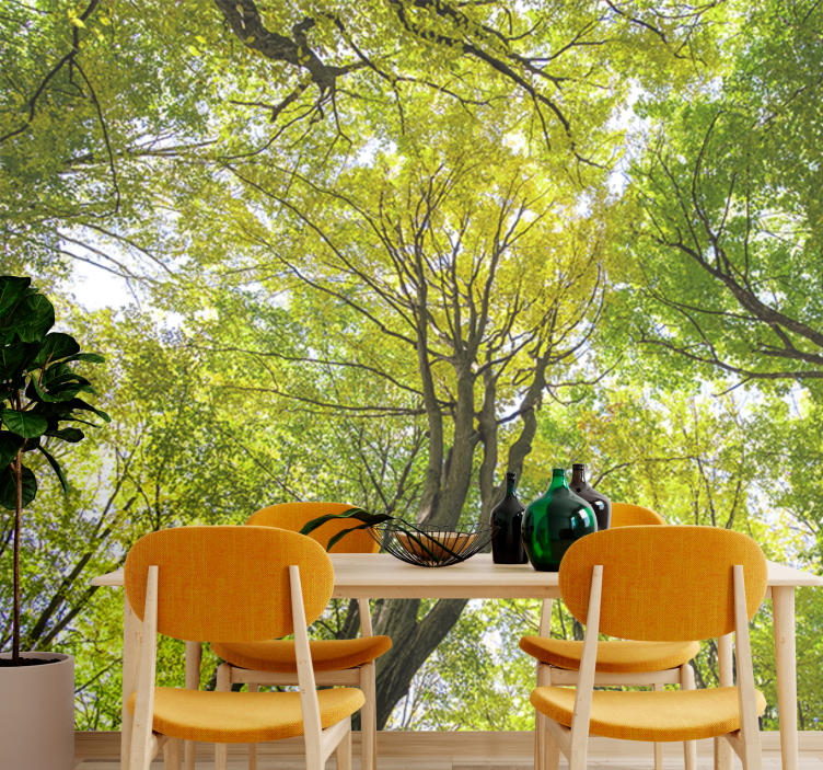 Bőséges erdő lombkoronák természeti falikárpitok - TenStickers