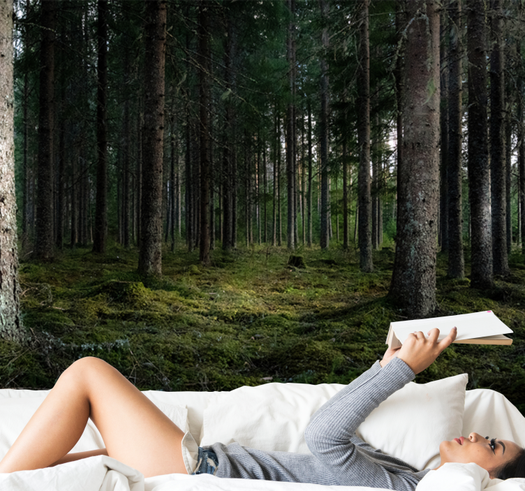 Derűs táj Erdei festmények - TenStickers