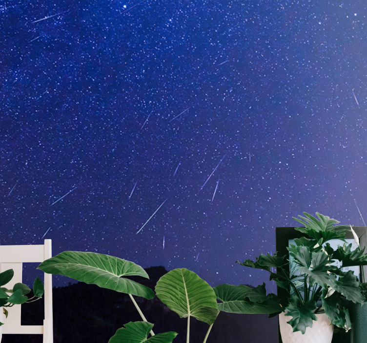 Égi Üstökösök Éjszakája hegyi falfestmények - TenStickers