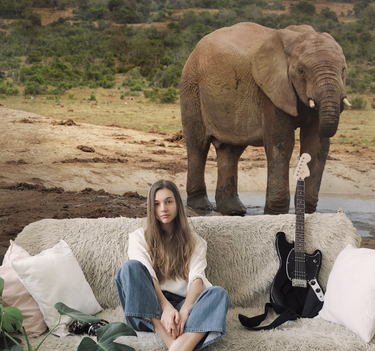 Elefánttal való találkozás Állati falfestmények - TenStickers