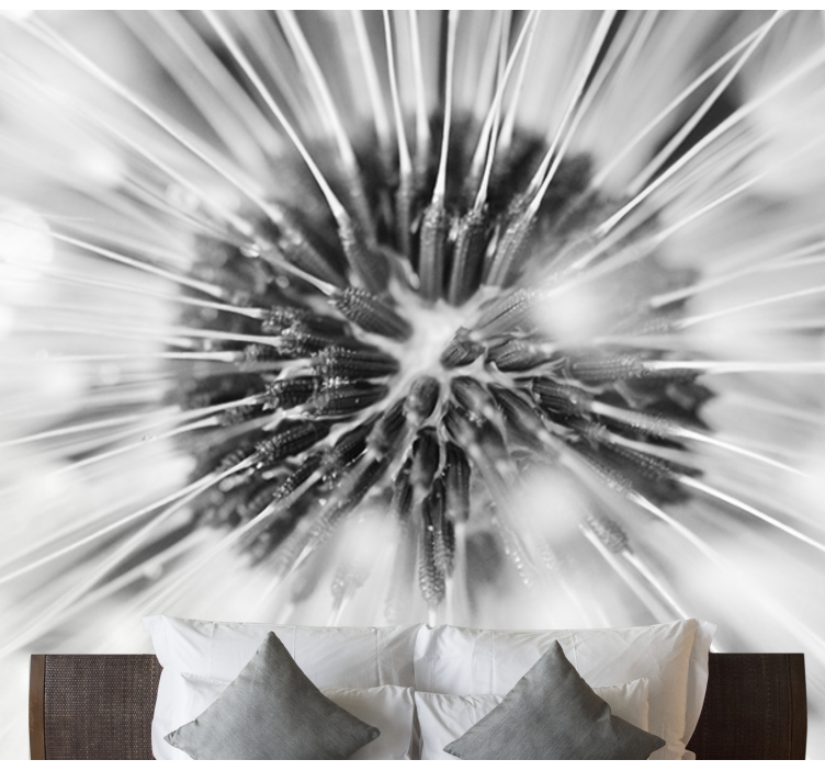 Elegáns fekete-fehér pitypang falfestmény - TenStickers