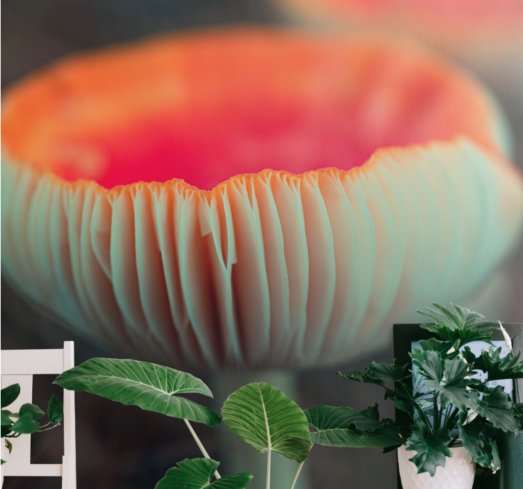 Elegáns mák falfestmények - TenStickers