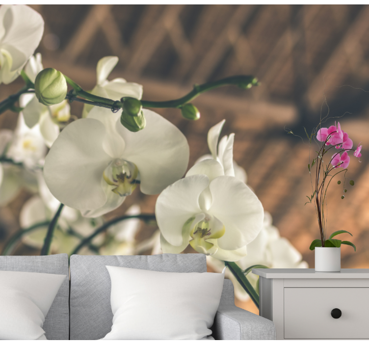 Elegáns orchidea virágzás falfestmény - TenStickers