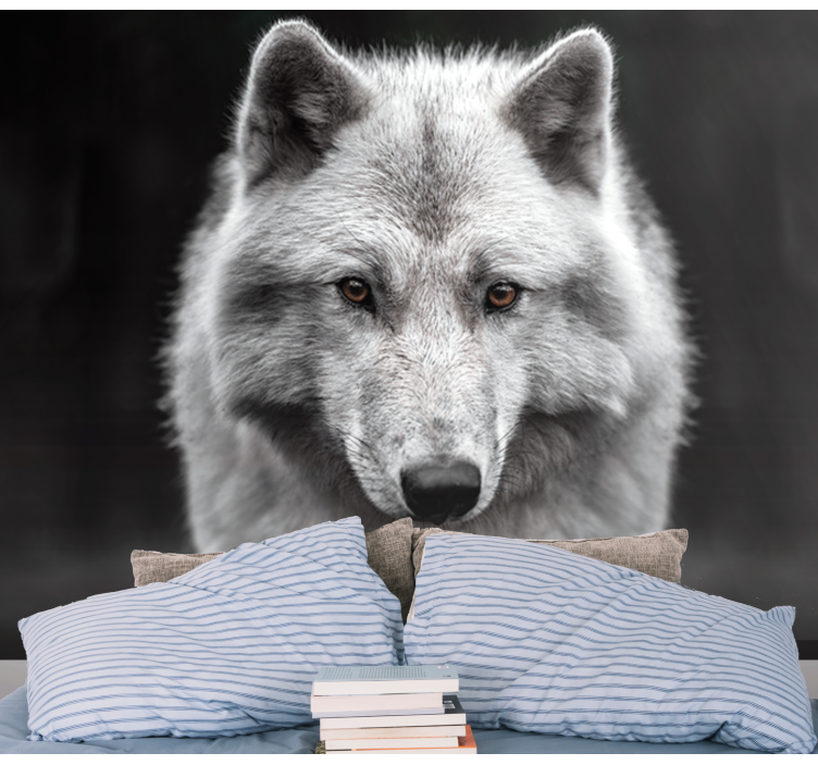 Fehér farkas falfestmény - TenStickers