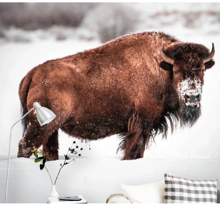 Fenséges bivaly tartás Állati falfestmények - TenStickers