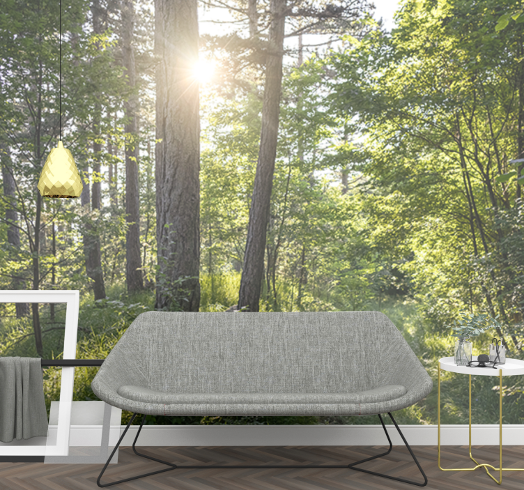 Fénylő erdő Útja természeti falikárpitok - TenStickers