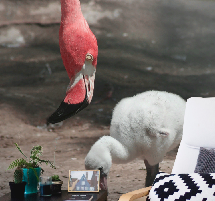 Flamingócsibe állati falfestmények - TenStickers