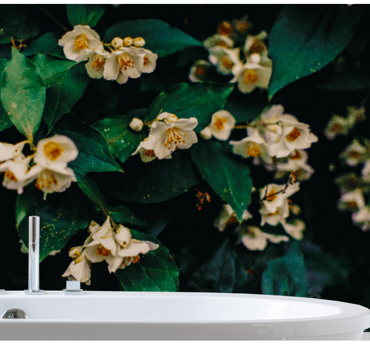 Jázmin virágok fürdőszoba fototapéta - TenStickers