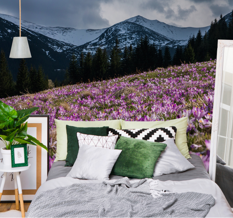 Kibővített kikerics virág falfestmények - TenStickers