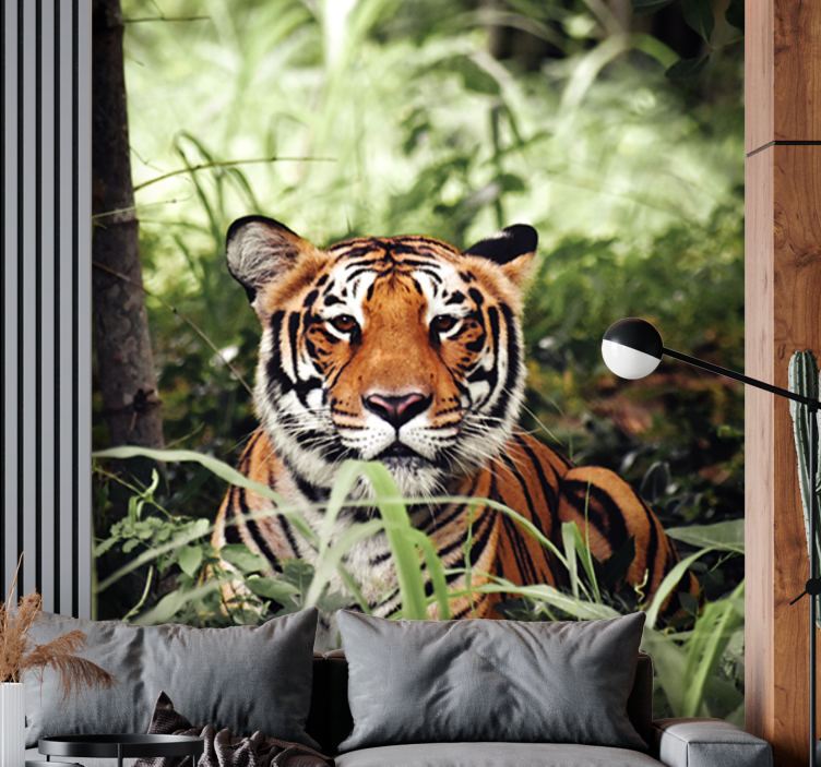 Királyi tigris Élmény Állati falfestmények - TenStickers
