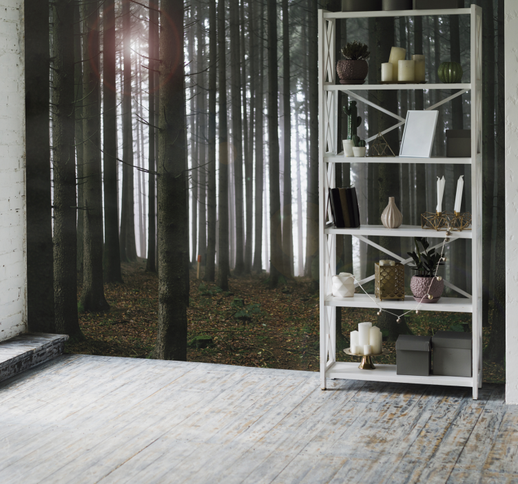 Ködös erdei jelenet Nappali fototapéta - TenStickers