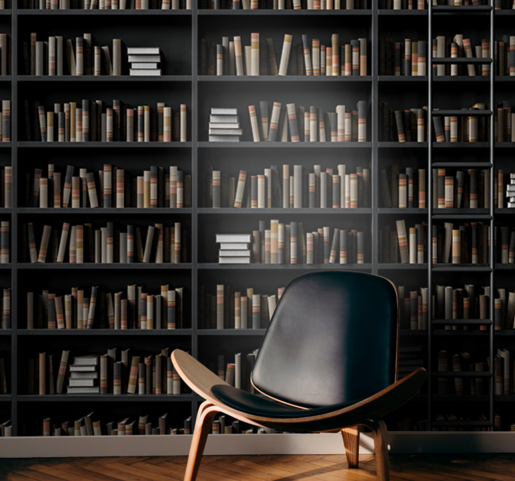 Könyvtári könyv válogatás kő falfestmények - TenStickers