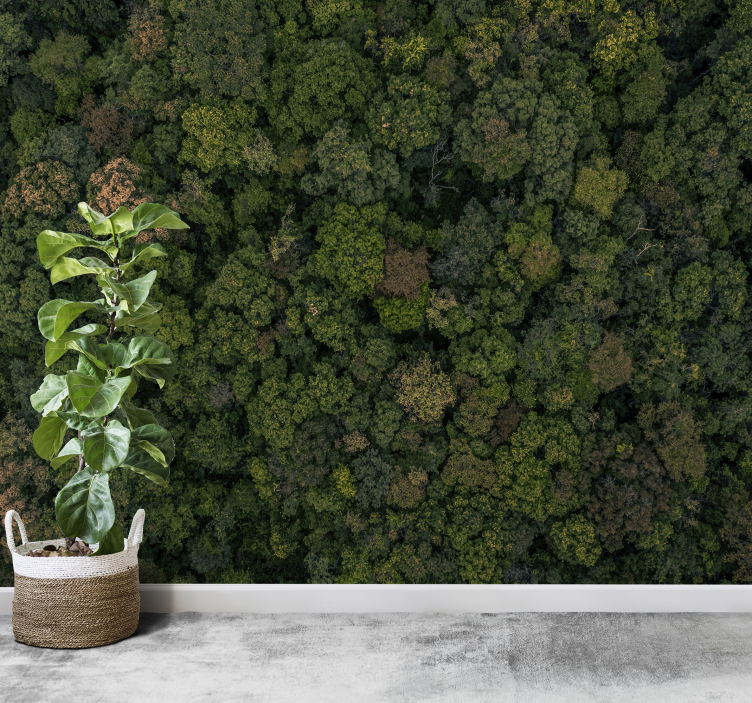 Légi erdő kilátás dzsungel fototapéta - TenStickers