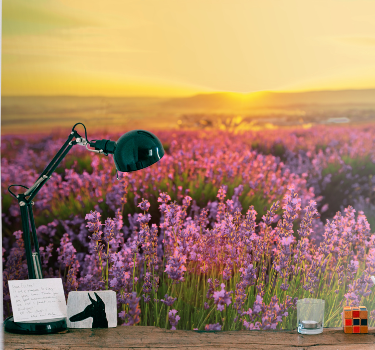 Levendula mező alkony - virág falfestmények - TenStickers