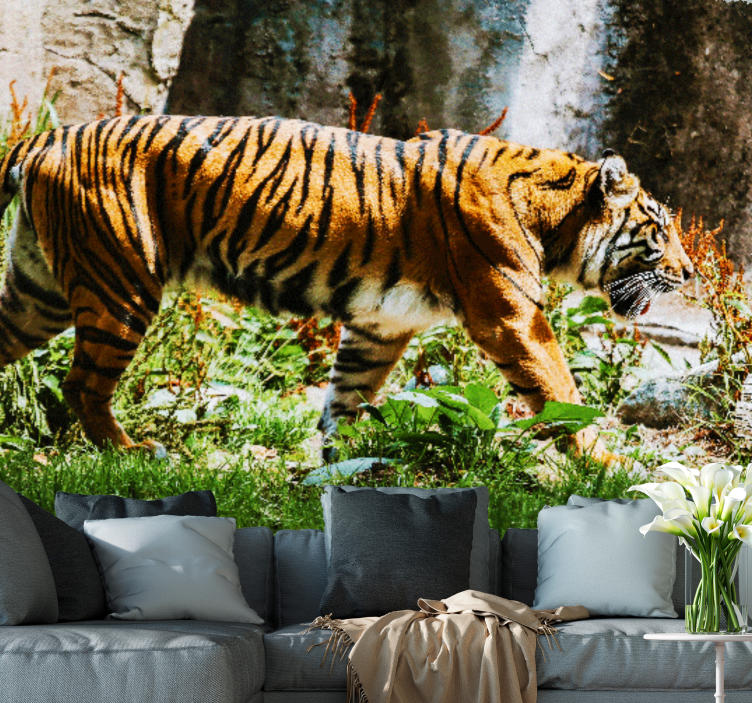 Majdani tigris séta Állati falfestmények - TenStickers