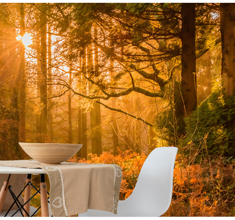 Megvilágított erdei táj Természeti falikárpitok - TenStickers