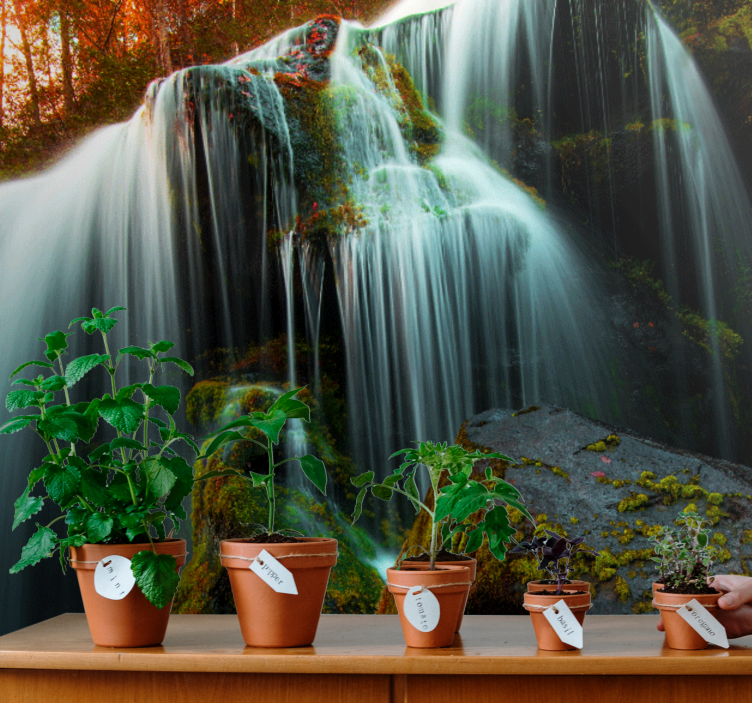 Mély erdei vízesés falfestmény - TenStickers