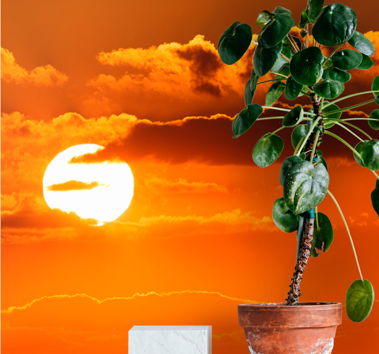 Naplemente felhők felett Ég falfestmények - TenStickers