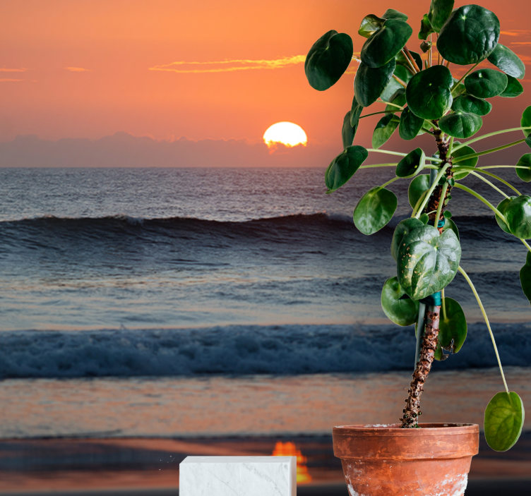 Naplemente óceán horizont Tengeri Falikárpit - TenStickers