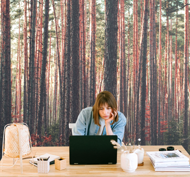 Nyugodt fenyvesek erdei festmények - TenStickers