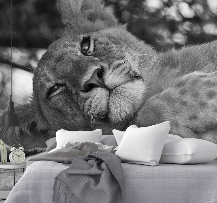 Oroszlán falfestmény - fenséges oroszlán pihenés - TenStickers