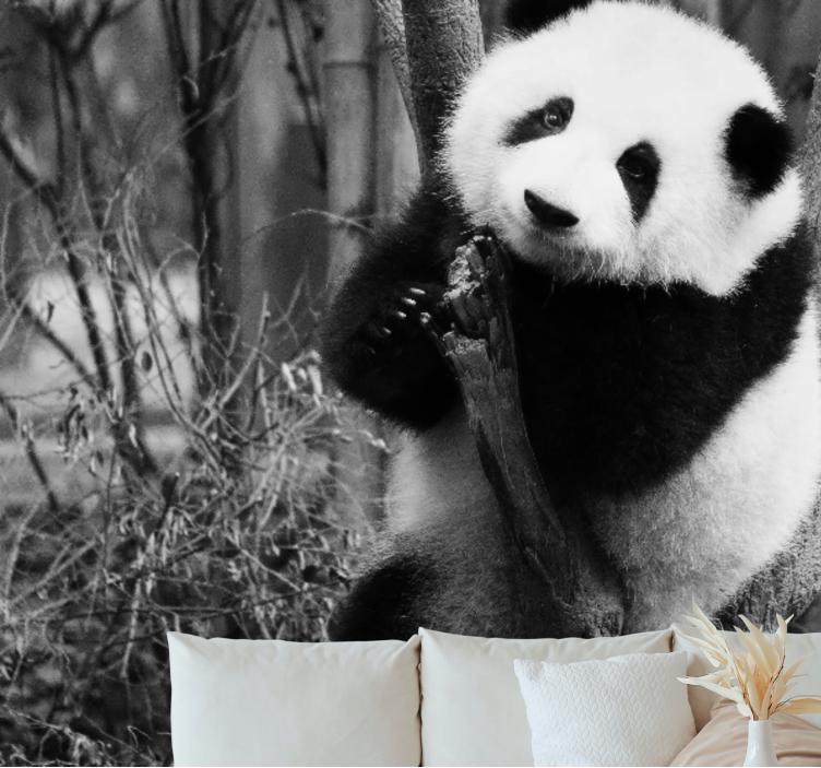 Panda a fán - Állati falfestmények - TenStickers