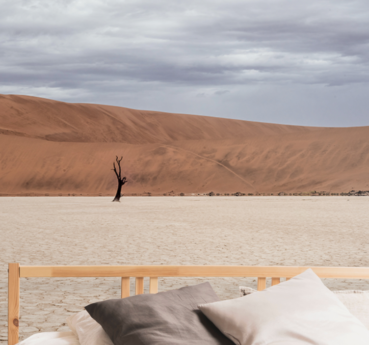 Sivatagi táj kilátás - hegyi falfestmények - TenStickers