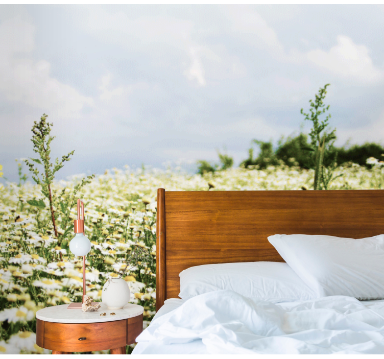 Százszorszép mező jelenet Virág fototapéta - TenStickers