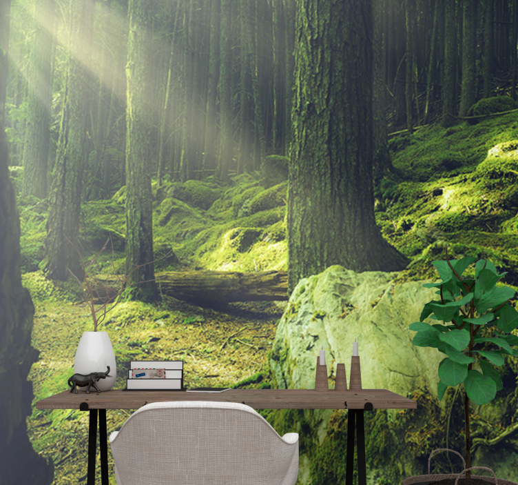 Sziklák moha az erdő természet falfestmény - TenStickers