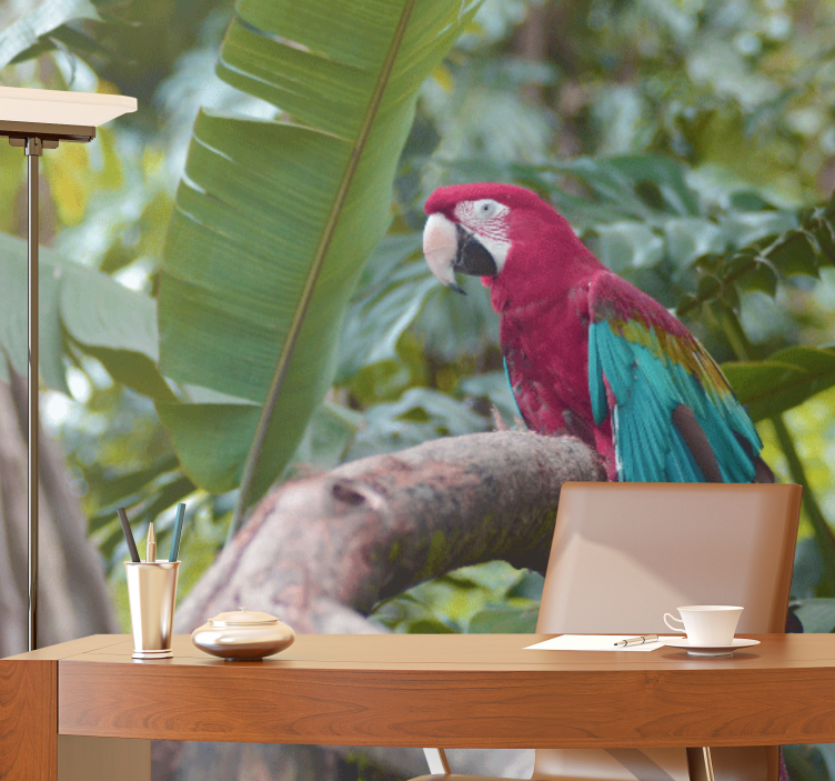 Színes ara papagáj - más állat falfestmények - TenStickers