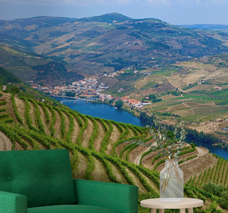 Szőlőskert völgy folyó Táj fototapéta - TenStickers