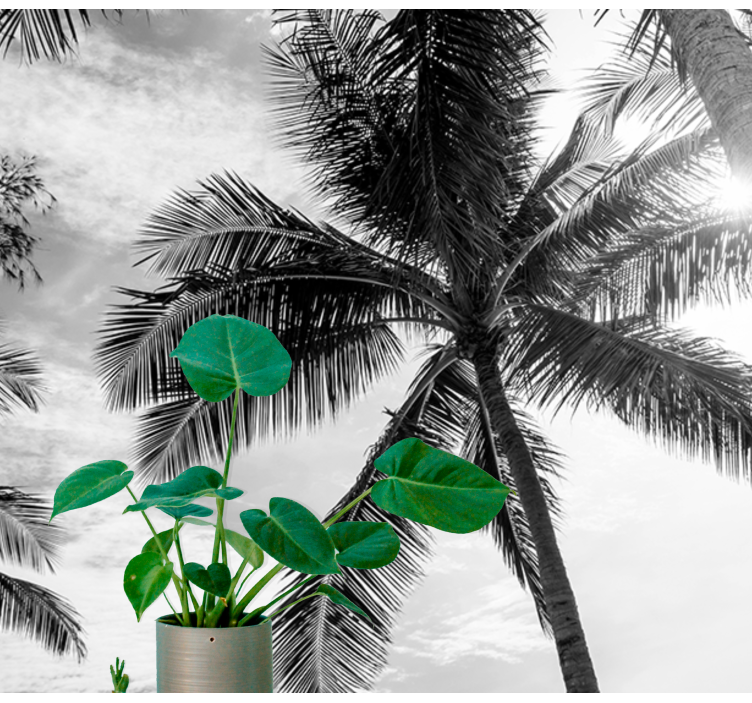 Trópusi pálma jelenet Tengeri Falikárpit - TenStickers