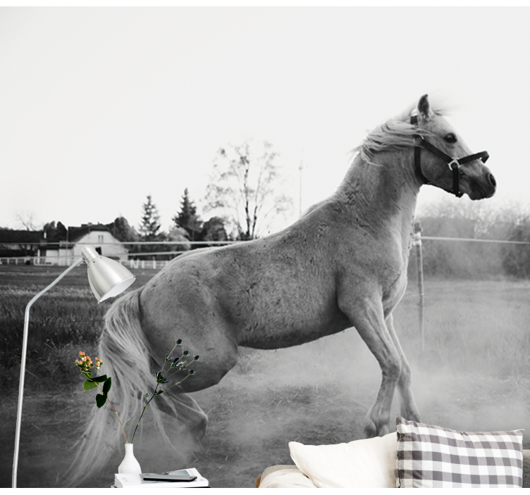 Vágta póni Állati falfestmények - TenStickers