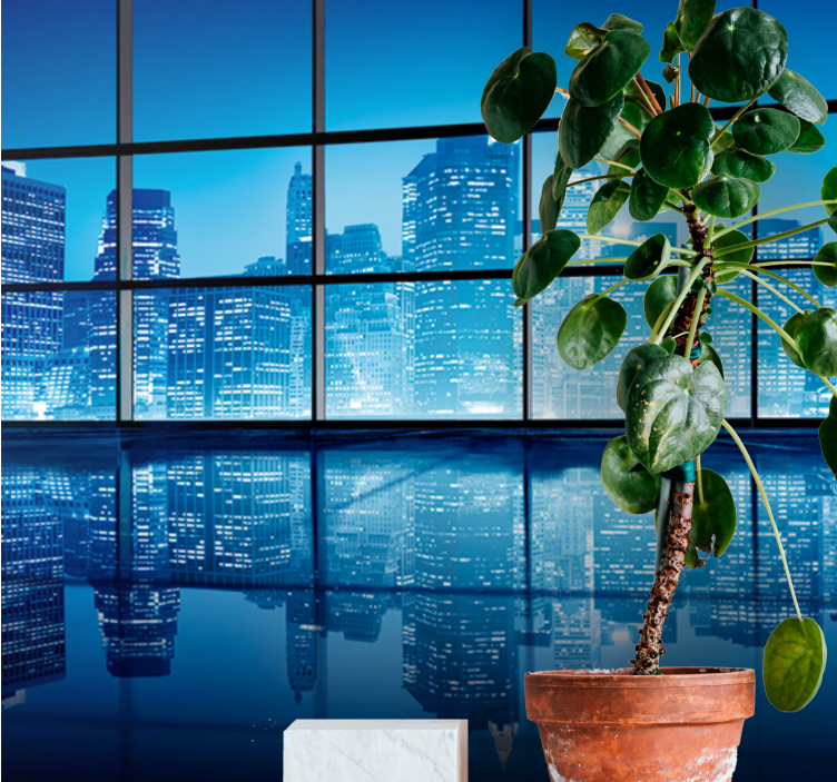 Városi falfestmény - városi éjszakai táj tükröződése - TenStickers