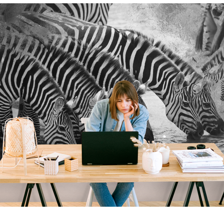 Zebrák ivóvíz Állati falfestmények - TenStickers