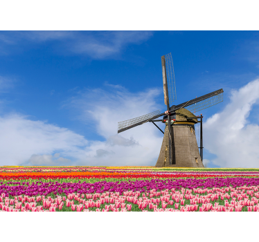 Tulipán mező és szélmalom falfestmény - TenStickers