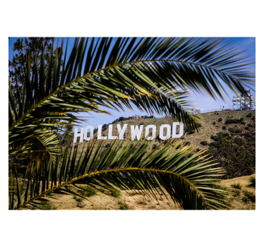 Hollywood jel és fa falfestmény - TenStickers