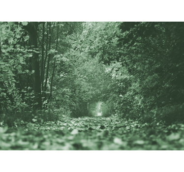Búbos erdőösvény festmények - TenStickers