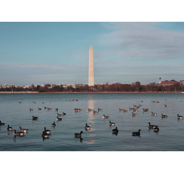Washington emlékmű falfestmény - TenStickers