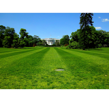 Fehér ház - washington falfestmény háttérkép - TenStickers
