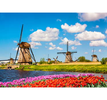 Szélmalmok és tulipánok Városi falfestmény - TenStickers
