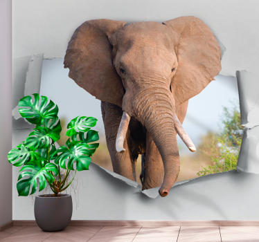 Elefánt törik a falat 3d falfestmény háttérkép - TenStickers