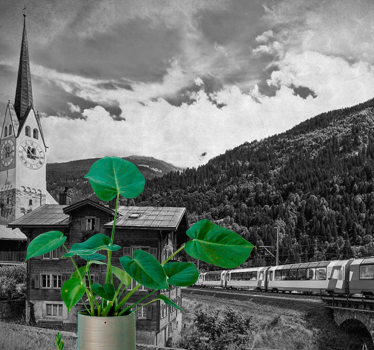 Történelmi svájci táj városi falfestmény - TenStickers