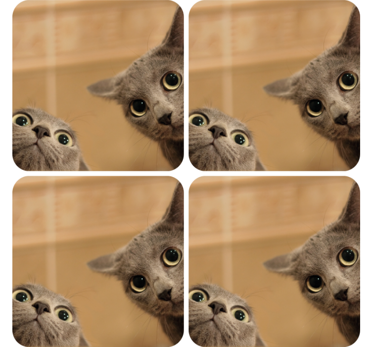 Kíváncsi macskaarcok poháralátétek szörnyszülött - TenStickers