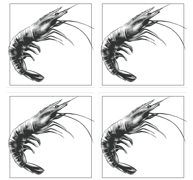 Gyönyörű kézzel rajzolt garnélarák hal alátét - TenStickers