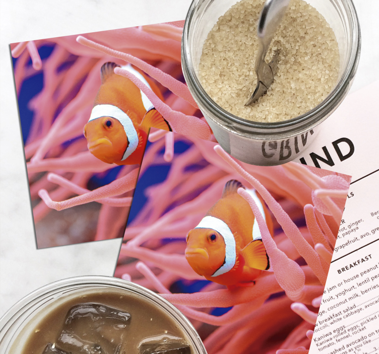 Gyönyörű bohóchal a tengeri hal alátét - TenStickers