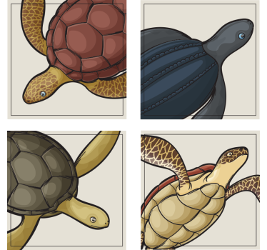 Színes teknős illusztrációk poháralátétek szörnyszülött - TenStickers